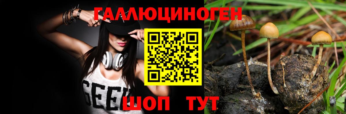 Галлюциногенные грибы Cubensis Бутурлиновка