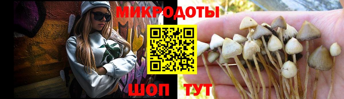 Псилоцибиновые грибы GOLDEN TEACHER  Галлюциногенные грибы мицелий  Бутурлиновка  Вход с VPN 